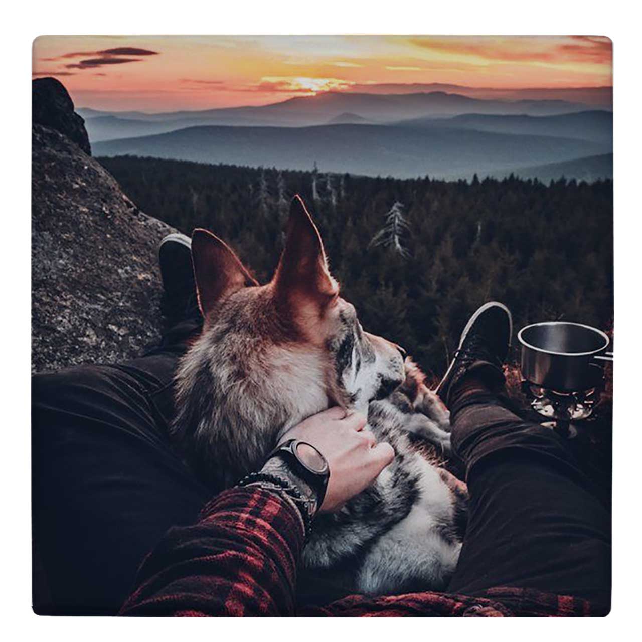 کاشی کارنیلا طرح غروب جنگل کوهستانی و گرگ کد wk4998