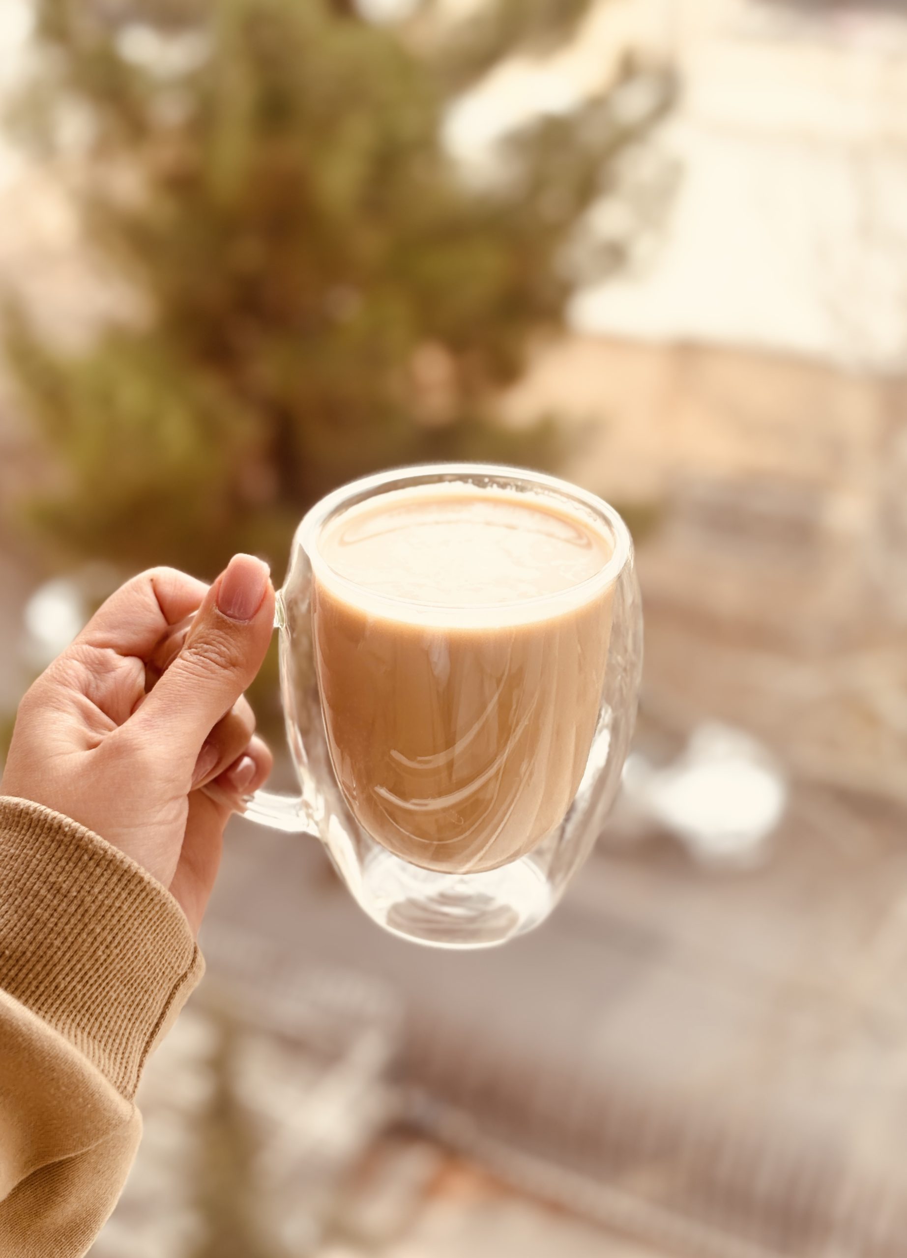 ماگ دوجداره پیرکس سایز بزرگ کد002369