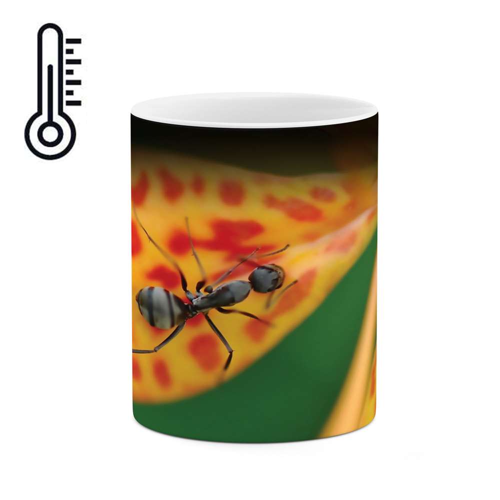 ماگ حرارتی طرح مورچه مدل mgh03821