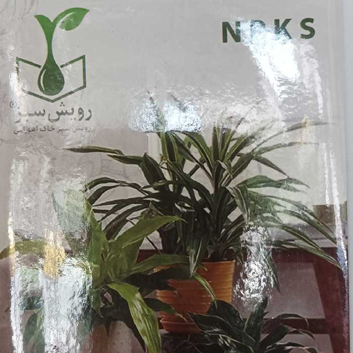 ان پی کا مایع..بمب انرژی 1 یک لیتری مخصوص گلهای آپارتمانی