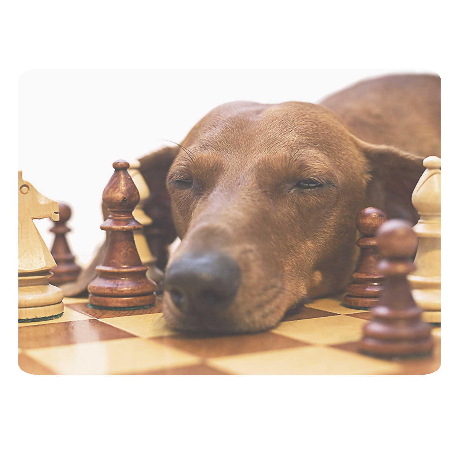 ماوس پد طرح شطرنج کد B331