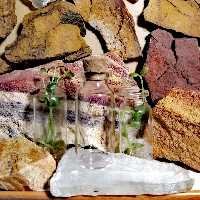 ویال 15 سی سی 6 سانت با چوب پنبه 266 عددی