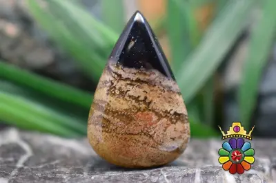 پلام وود جاسپر