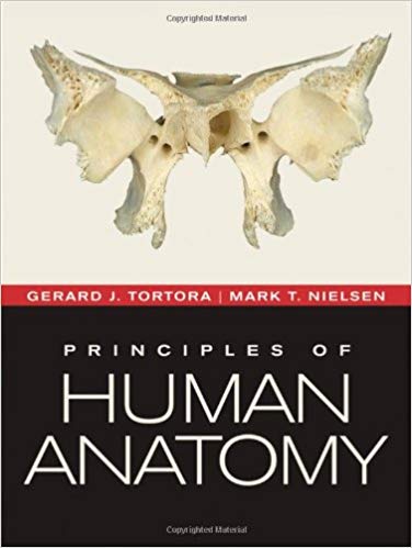  دانلود کتاب Principles Of Human Anatomy, 12th ed, 2012 - دانلود کتاب های دانشگاهی
