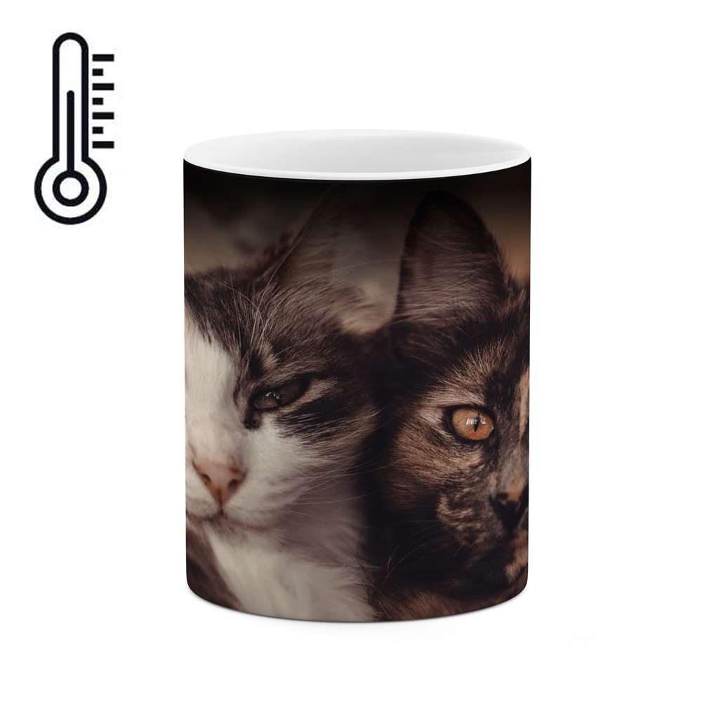 ماگ حرارتی کاکتی طرح گربه مدل mgh17258