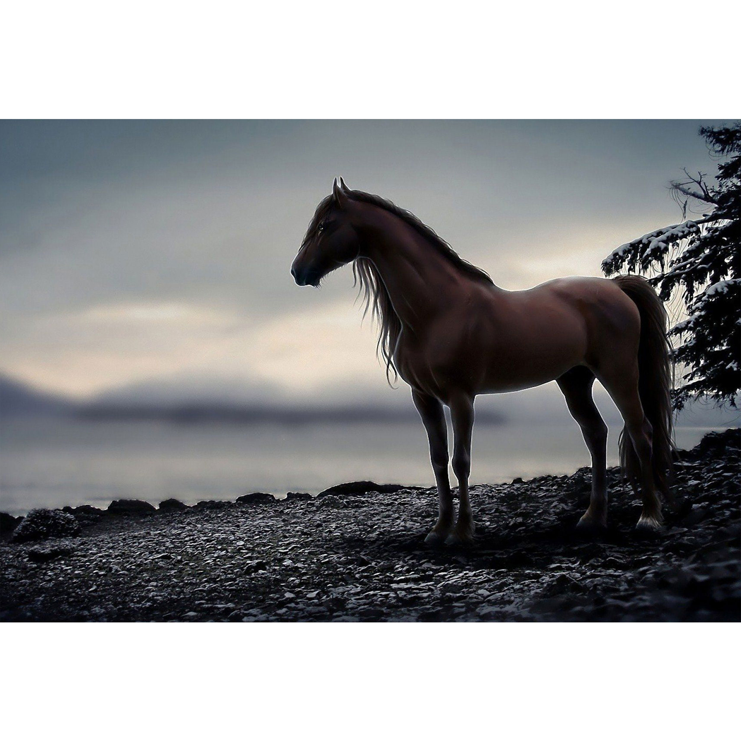 تابلو شاسی طرح اسب مدل T1324