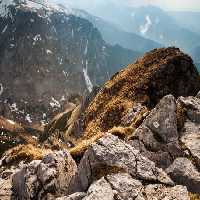 خرید و دانلود عکس Nature-Part-6 کد 37069 | پیک فاکس | Pic Fox