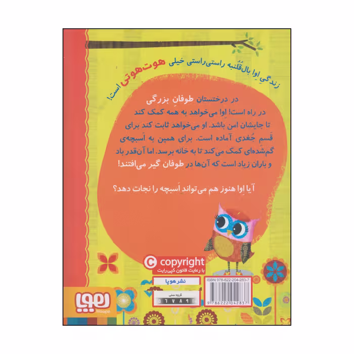 کتاب دفترچه خاطرات جغد اوا و اسبچه‌ی گم شده اثر ربکا الیوت انتشارات هوپا