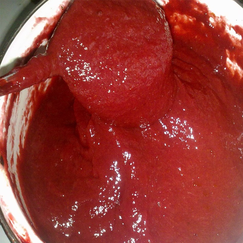 رب آلو محلی و خانگی ملایر کاملا تازه 1000 گرم با بهترین کیفیت و بهترین طعم