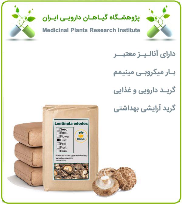 قارچ شیتاکه خشک فله