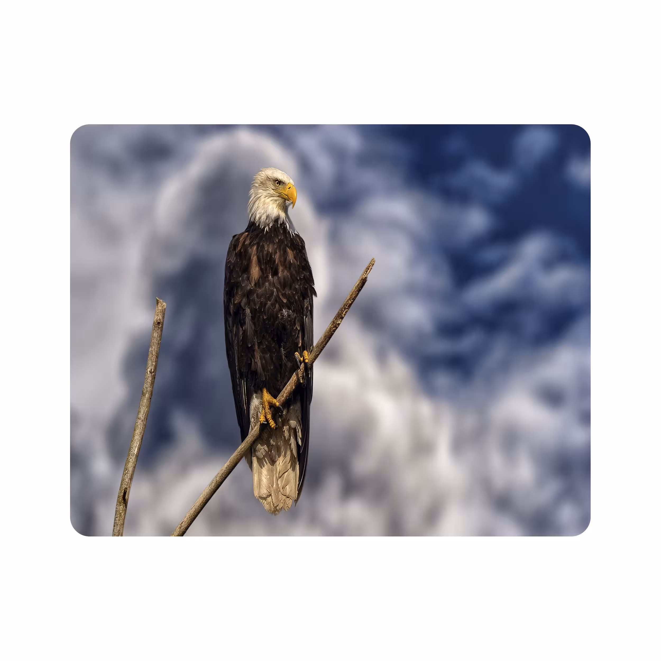 ماوس پد طرح عقاب مدل T8048