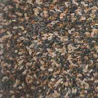 تخم شربتی مخلوط 500 گرم (تخم شربتی ریز
تخم شریتی درشت خاکشیر بالنگو اسپرزه 