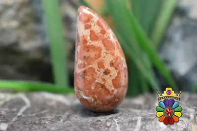 کافی بین جاسپر