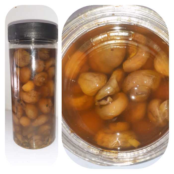 ترشی قارچ ( 700 گرمی ) فروشگاه بدیسا