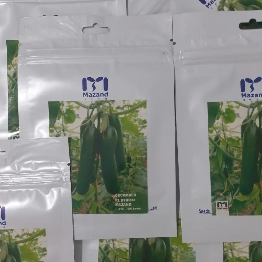 بذر خیار گلخانه ای 1000 عدد. ارسال رایگان