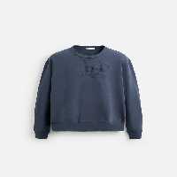 پلیور مردانه زارا FADED SLOGAN SWEATSHIRT | تهران زارا TehranZara
