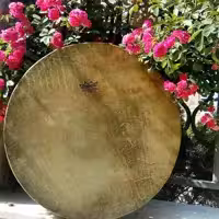 دف سما (رمو قدیم) به همراه کاور مرغوب فوم دار به همراه یک جلسه کلاس آموزش آنلاین رایگان 