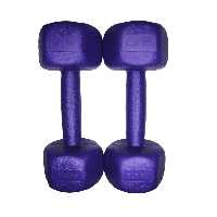 دمبل رادیس فیت مدل RPHF-1500 وزن 1.5 کیلوگرم بسته دو عددی | چاوه