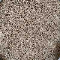 زیره سبز - 1 کیلو