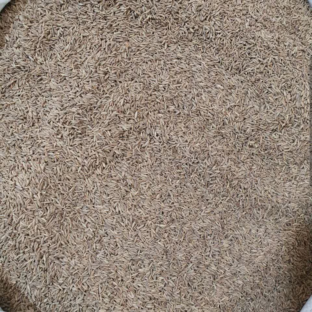 زیره سبز - 1 کیلو