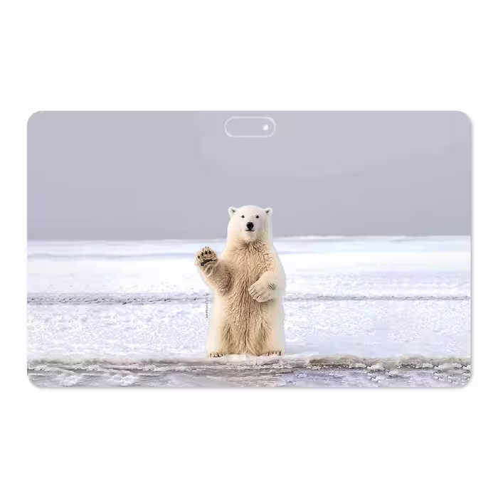 برچسب پوششی ماهوت مدل Polar bear مناسب برای تبلت جی ال ایکس W11 Plus