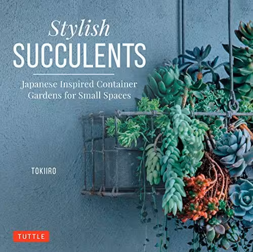 󾕇 دانلود کتاب Stylish Succulents - Japanese Inspired Container Gardens For Small Spaces, 2018 - دانلود کتاب های دانشگاهی