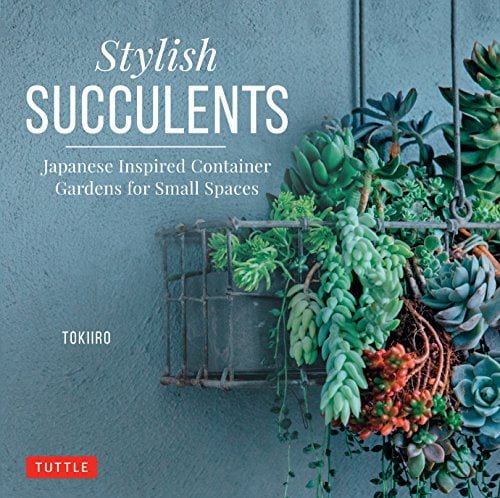  دانلود کتاب Stylish Succulents - Japanese Inspired Container Gardens For Small Spaces, 2018 - دانلود کتاب های دانشگاهی