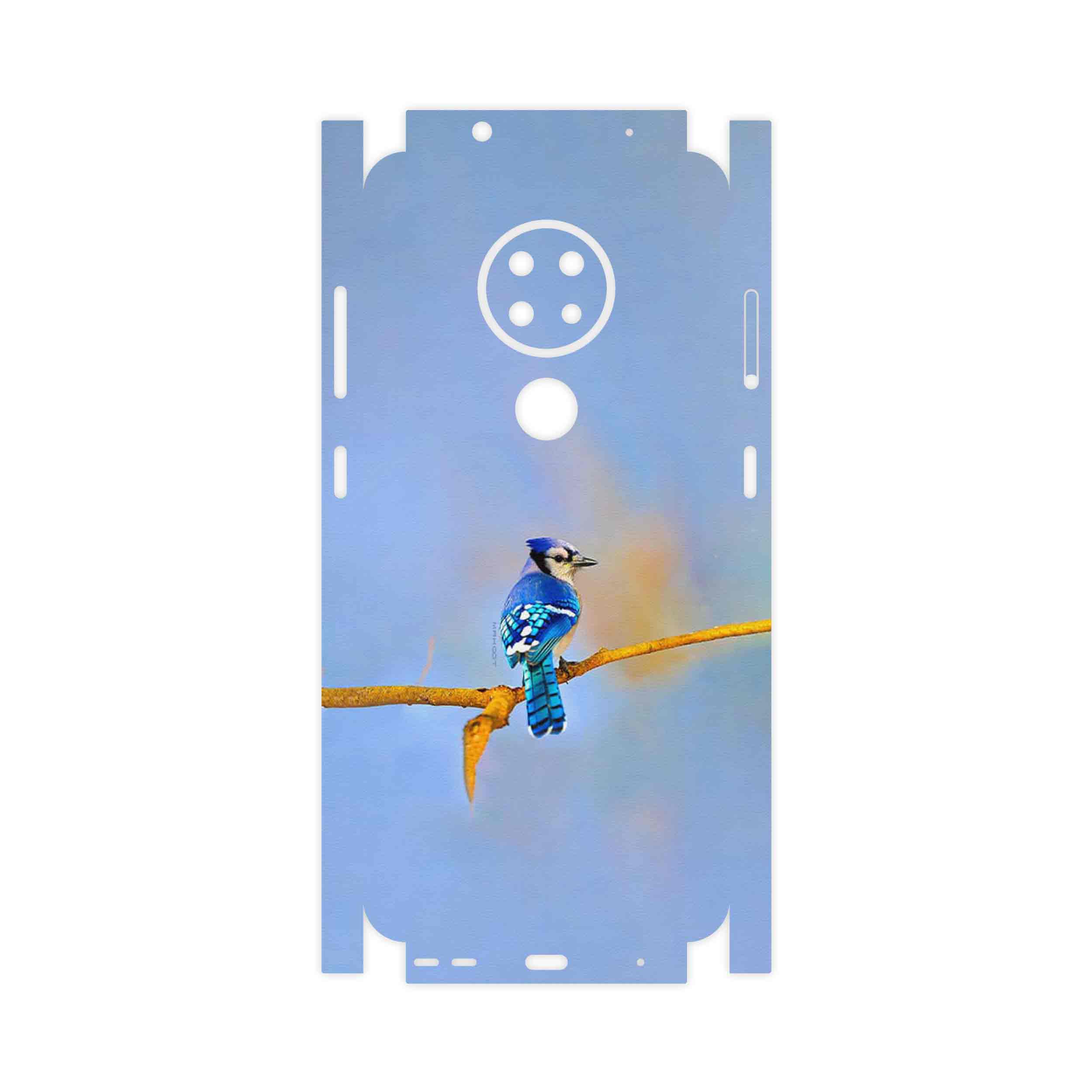 برچسب پوششی ماهوت مدل Cyanocitta cristata-FullSkin مناسب برای گوشی موبایل نوکیا 6.2