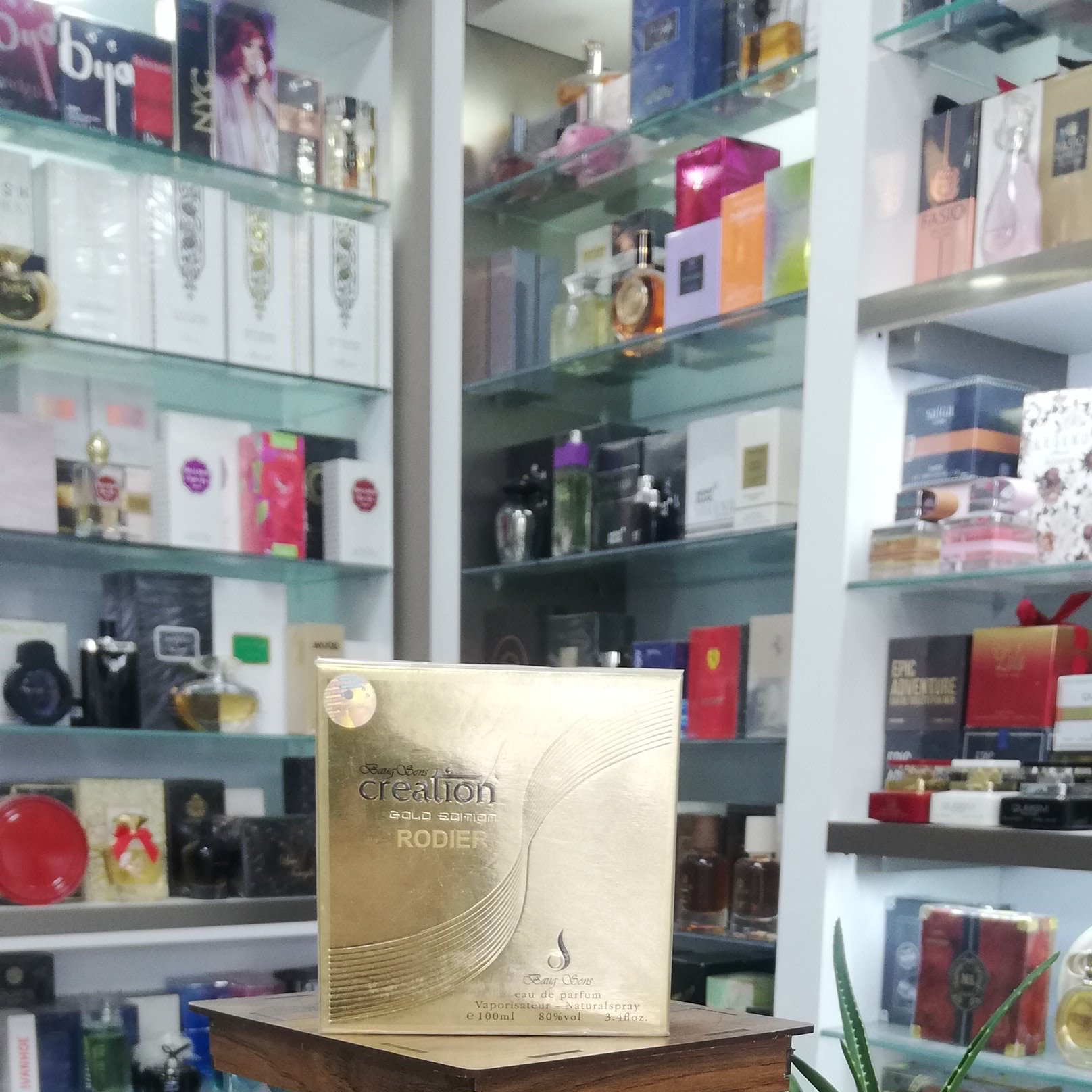 عطر ادکلن کریشن گلد طلایی | Creation Gold