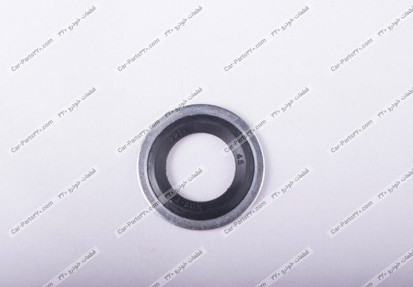 واشر اورینگ دار شیلنگ دو قلو کولر دوو ریسر