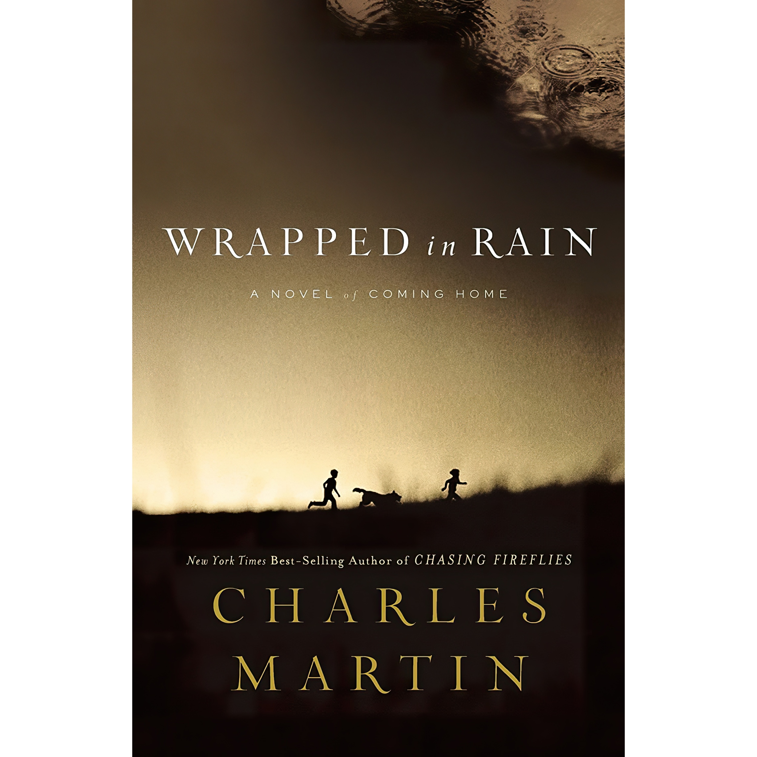 کتاب Wrapped in Rain اثر Charles Martin انتشارات Thomas Nelson