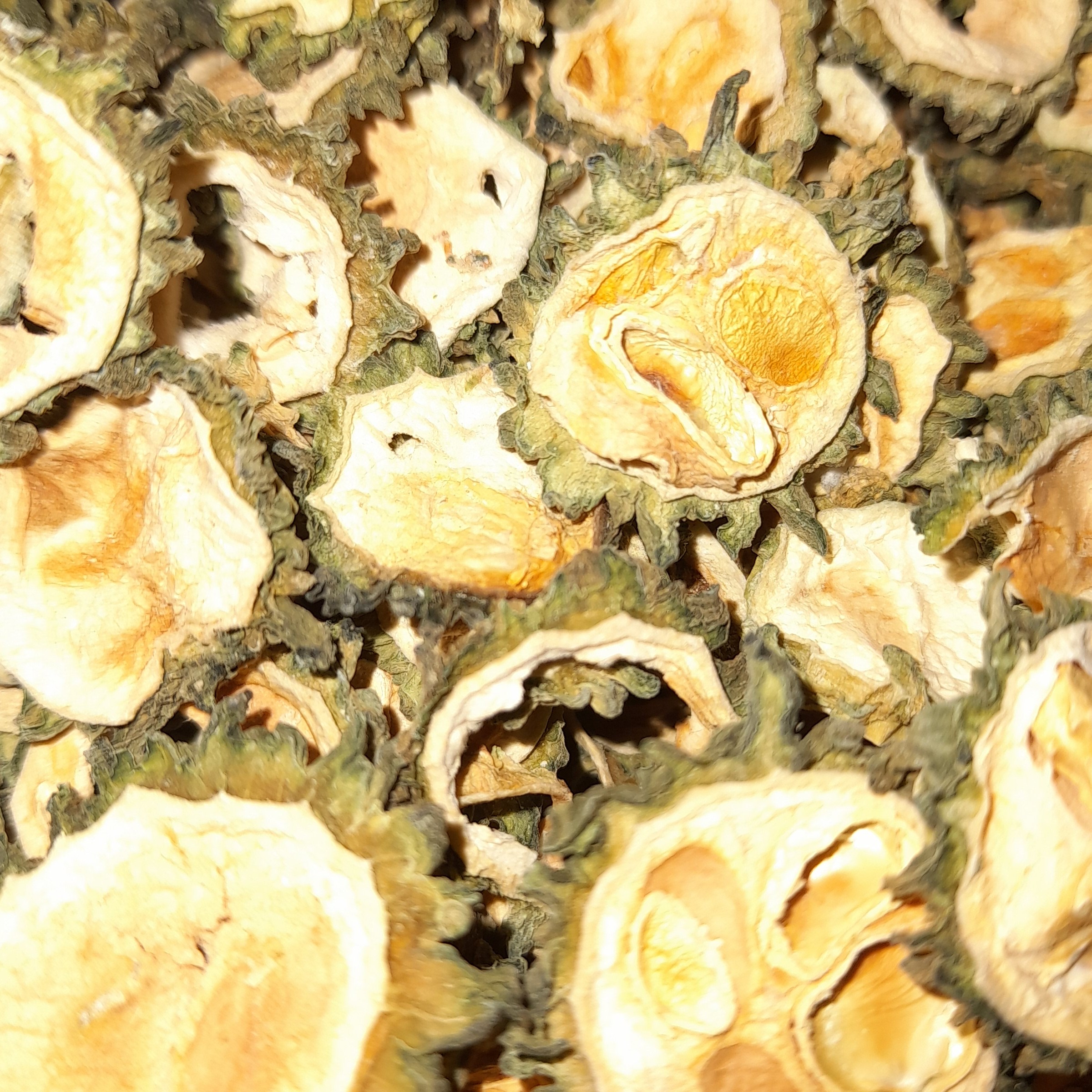 خیار کارلا خشک درجه یک (خیار تلخ و کاهنده قند و دیابت)