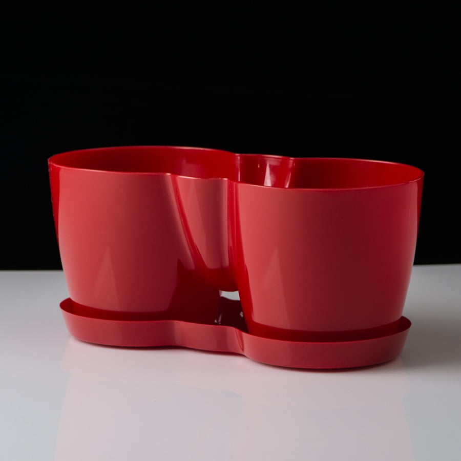 گلدان نارسیس دوقلو گلپونه