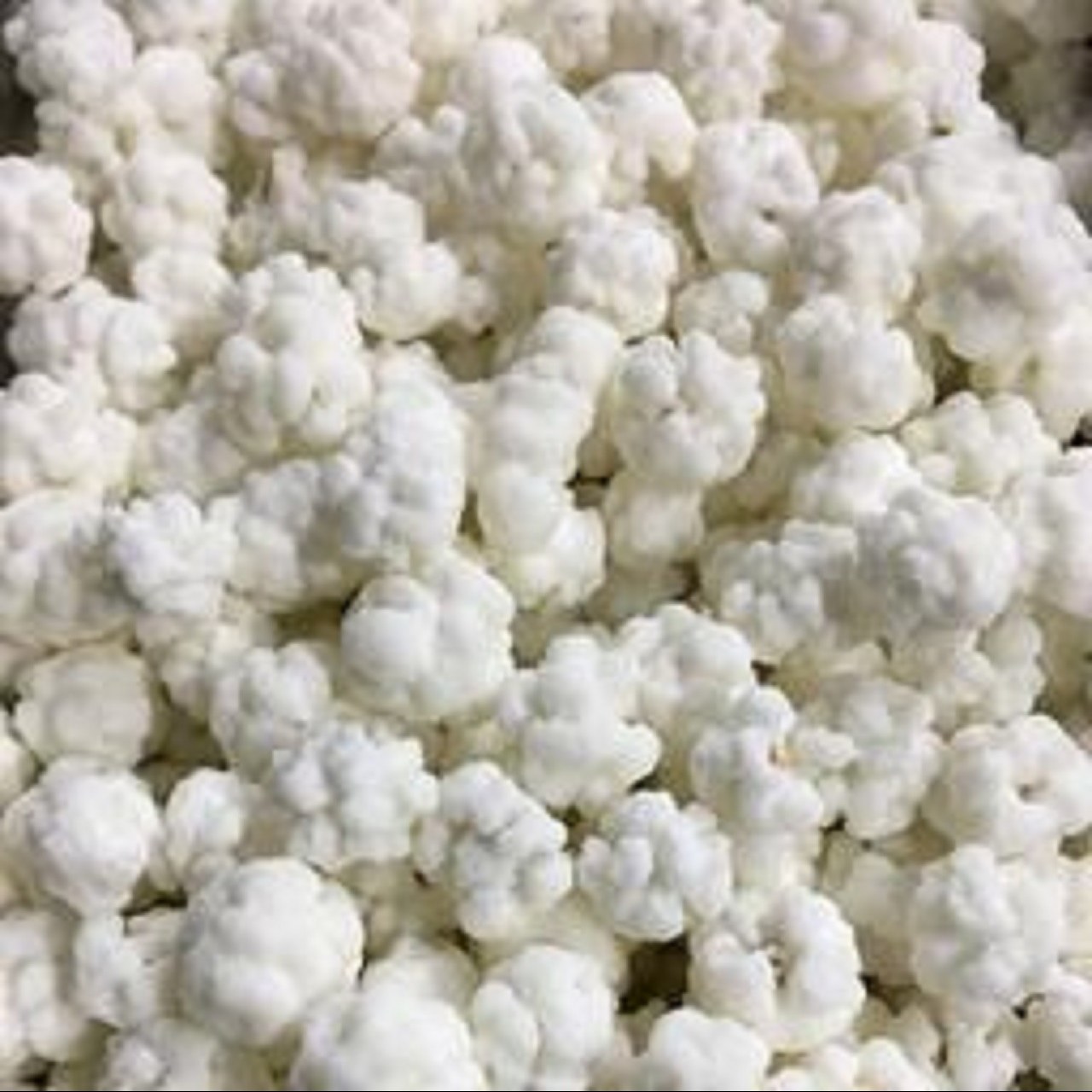 نقل گشنیز  1000 گرم