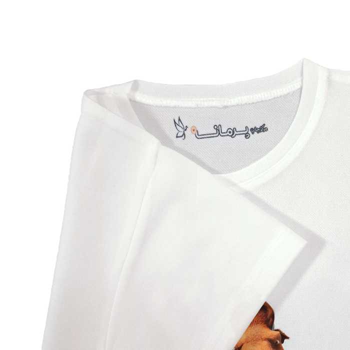 تی شرت آستین کوتاه بچگانه پرمانه طرح عصر یخبندان کد pmt.6411