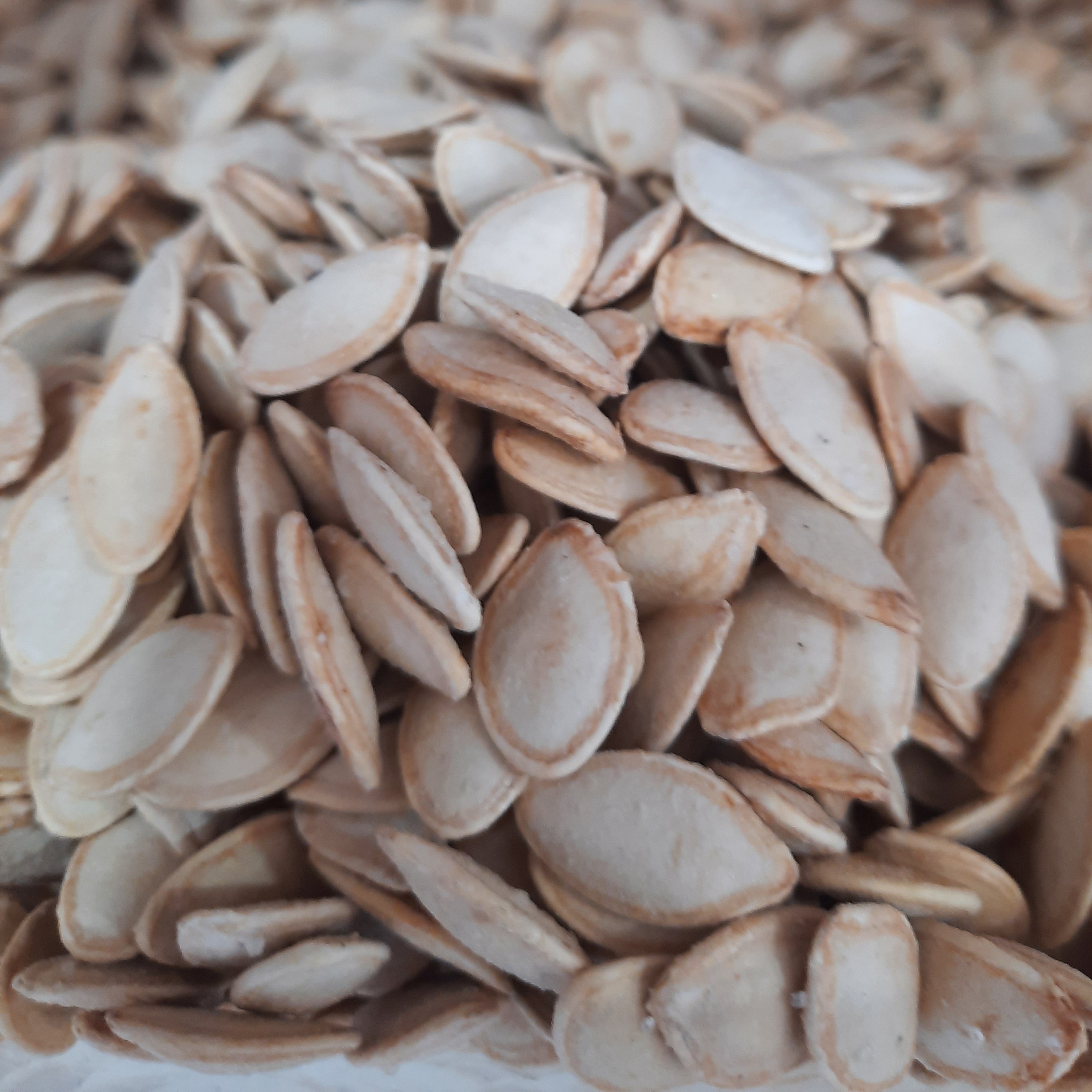 تخمه کدو گوشتی ایرانی  ( 500 گرم )