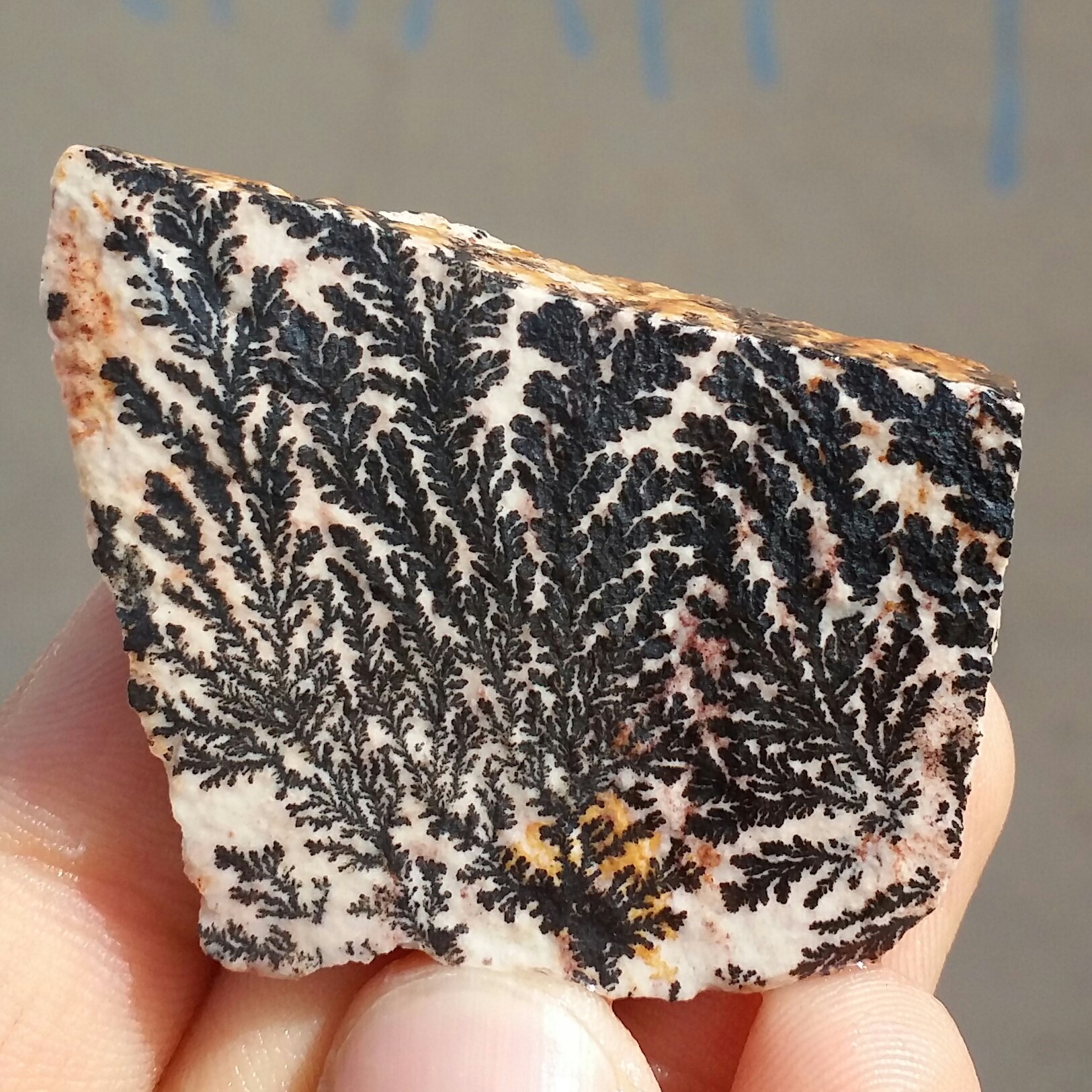 سنگ راف 100 در 100 طبیعی شجر دندریتی یا فسیلی محشر  خاص شاهکار خلقت
شجر واضح خارق العاده
تصویر از 2 طرف نمونه
کد 11239