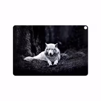 برچسب پوششی ماهوت مدل Dire Wolf مناسب برای تبلت ایسوس Zenpad 3S 10 2017 Z500KL