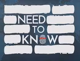 بازی کامپیوتر Need to know