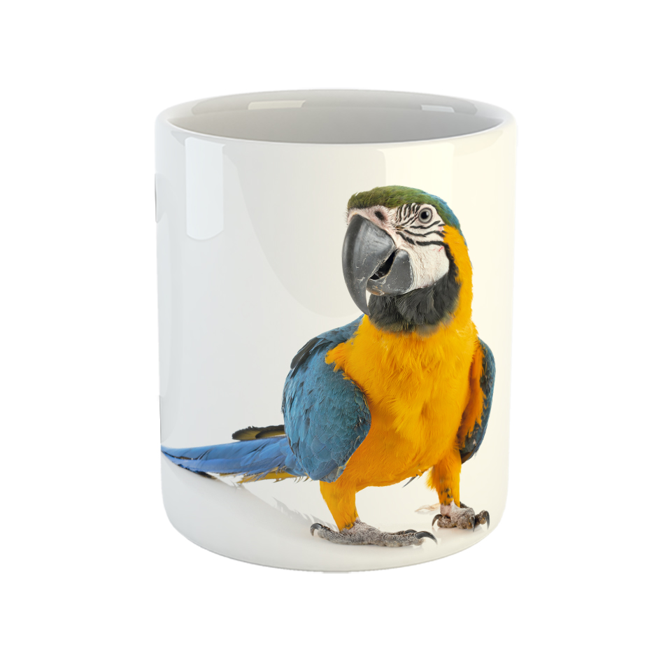 ماگ طرح طوطی مدل ماکائو آبی طلایی macaw