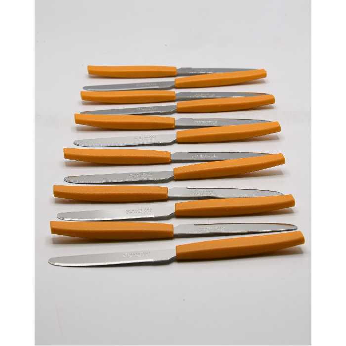  چاقوی میوه خوری آرامونتانا کد 546 بسته 12 عددی
