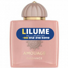 عطر ادکلن آمواج گایدنس 100 میل مردانه – زنانه