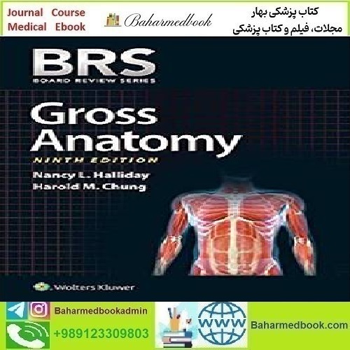 BRS Gross Anatomy 2019 TRUE PDF price 1€ - کتاب پزشکی بهار