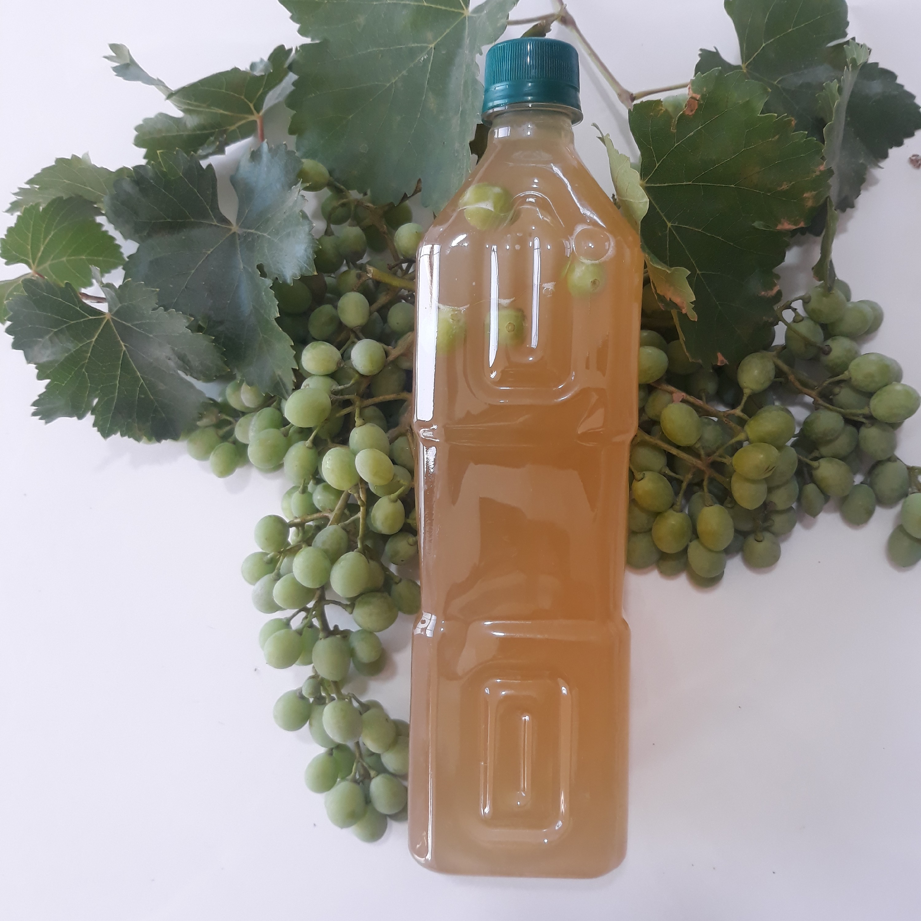 آبغوره طبیعی و ارگانیک
محصول تاکستان های دیم دشمن زیاری
یک لیتری