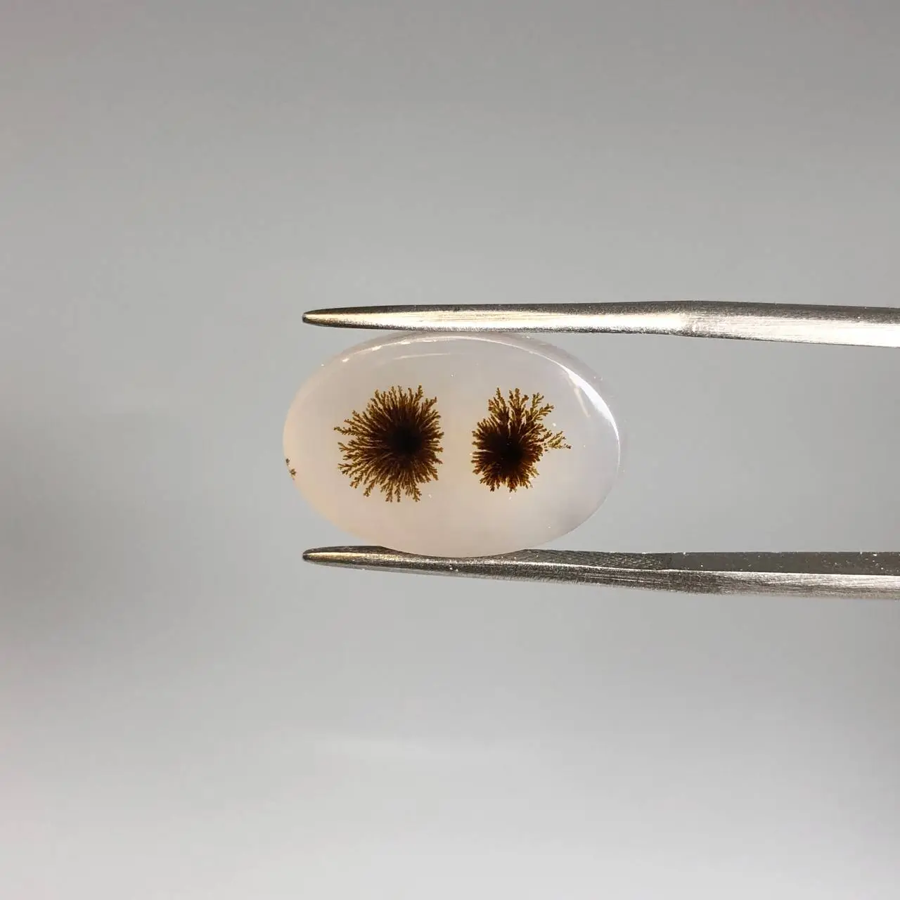 نگین عقیق شجر خاص 250442