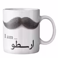 ماگ ماگستان مدل ارسطو