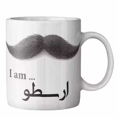 ماگ ماگستان مدل ارسطو