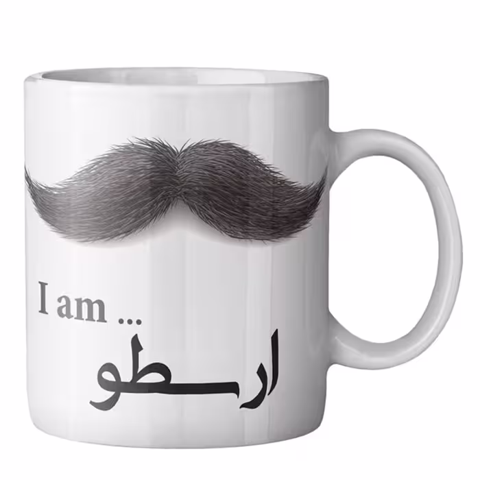 ماگ ماگستان مدل ارسطو