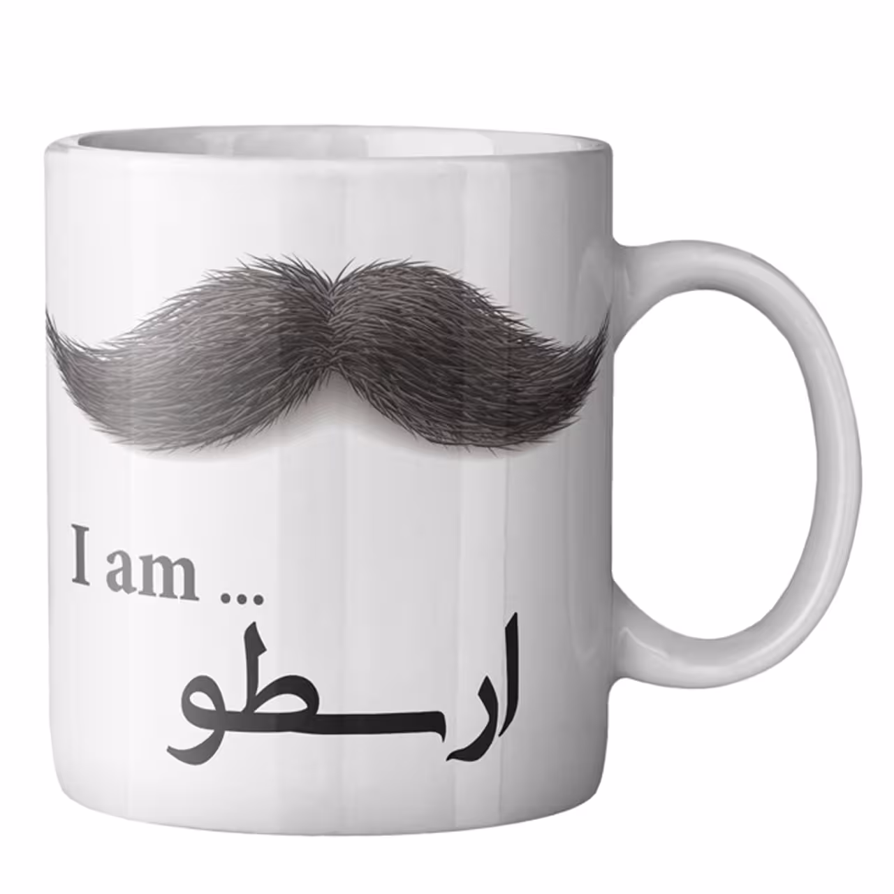 ماگ ماگستان مدل ارسطو