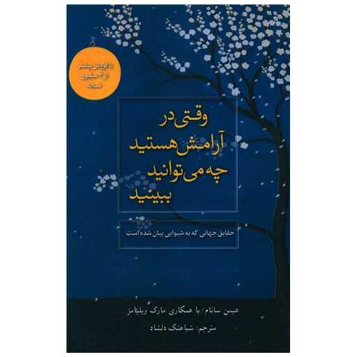 کتاب وقتی در آرامش هستید چه می توانید ببینید اثر هیمن سانام ، مارک ویلیامز